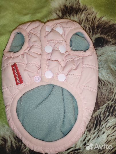 Одежда для маленьких собак xs