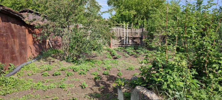 Участок 5 сот. (ИЖС)