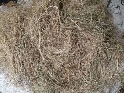Сено в мешках