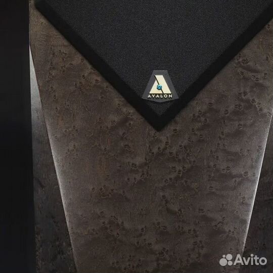 Напольная акустика Avalon Acoustics PM2