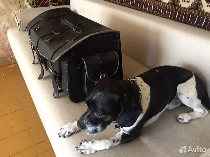 Кофр задний для мотоцикла