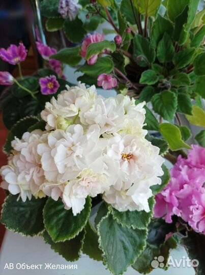 Новинки 22 года