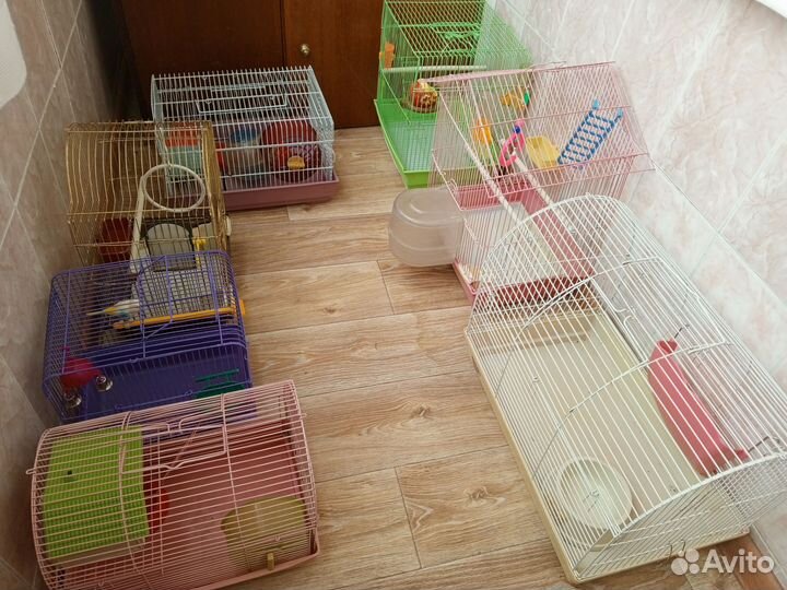 Клетки для грызунов и птиц б/у