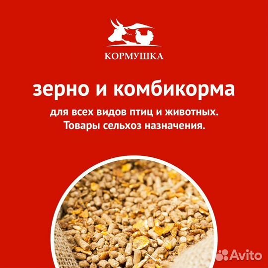 Бмвк для кур-несушек, 30 процентов, Южная Корона