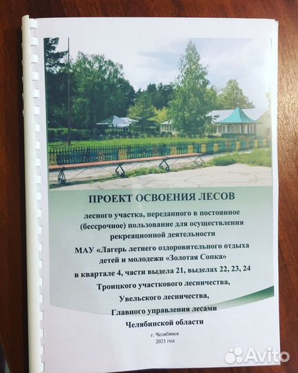 Разработка проекта освоения лесов, экспертиза