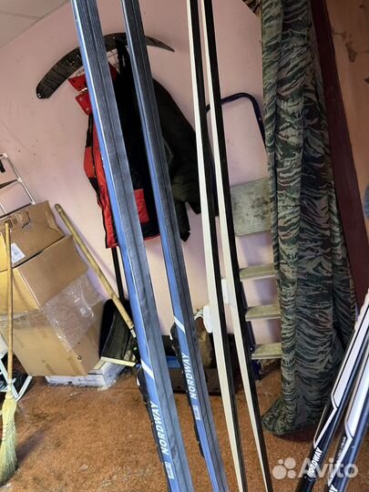 Беговые лыжи