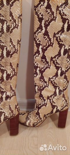 Сапоги кожаные питон Carlo Pazolini