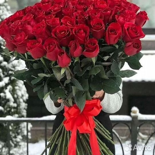 Розы гиганты 140 150 160 170 180 200