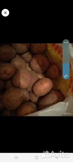 Продукты питания