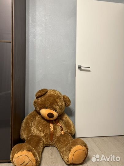 Плюшевый медведь