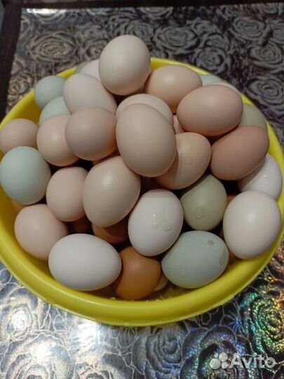 Домашние куриные яйца