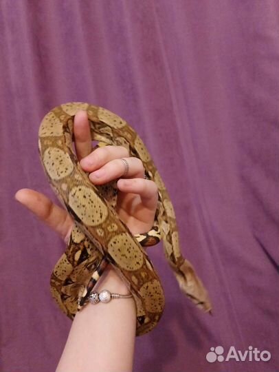 Аренда для фотосессий и вашего праздника