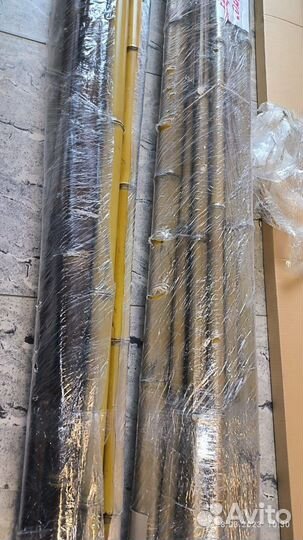 Бамбук - растение для интерьера