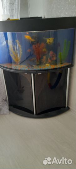 Аквариум