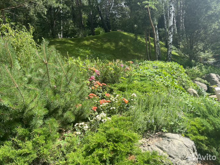 Ландшафтный дизайн проектирование и озеленение