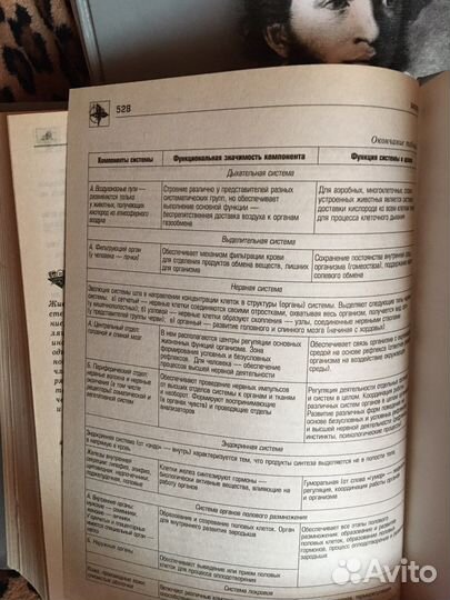 2 настольных справочника школьника, 5-11 класс