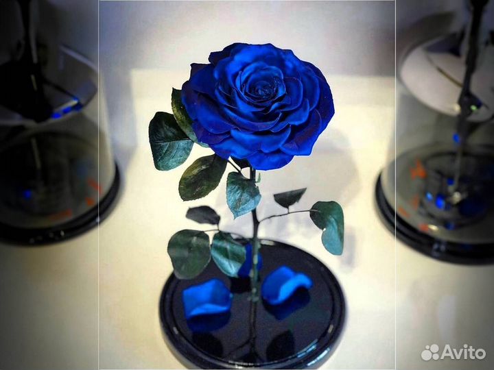 Роза в колбе Deluxe Синяя