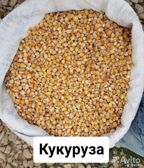 Зерносмеси, зерно: пшеница кукуруза просо, ячмень