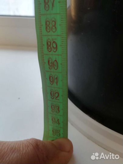 Замиокулькас