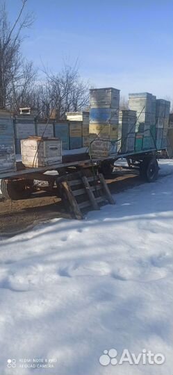 Прицеп пчеловодческий