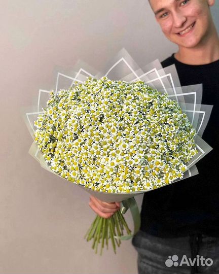 Цветы ромашки. Букеты ромашек. Цветы доставка