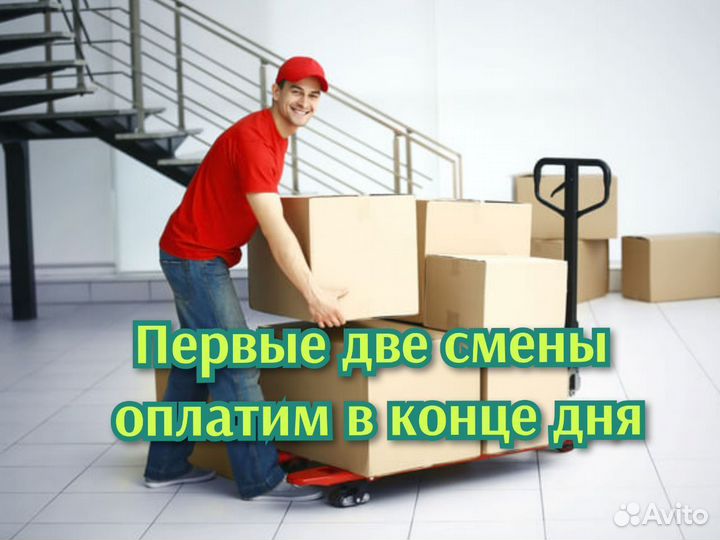 Грузчик с ежедневными выплатами