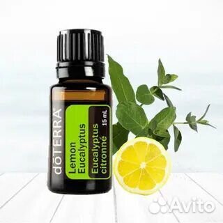 Лимонный эвкалипт дотера