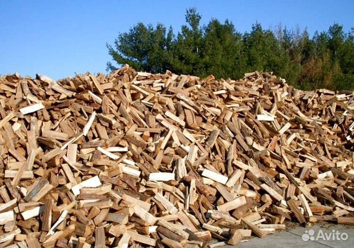 Дрова образцовые