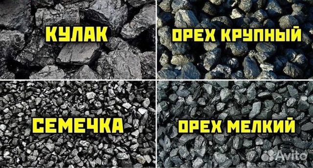 Как выглядит уголь орех фото