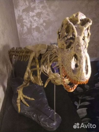 Тираннозавр Рекс