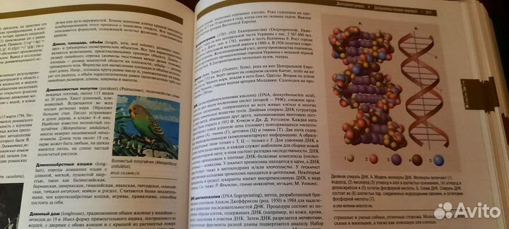 Энциклопедия Britannica