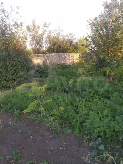 Участок 4 сот. (СНТ, ДНП)