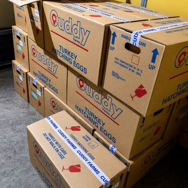 Индюшата Hybrid Converter