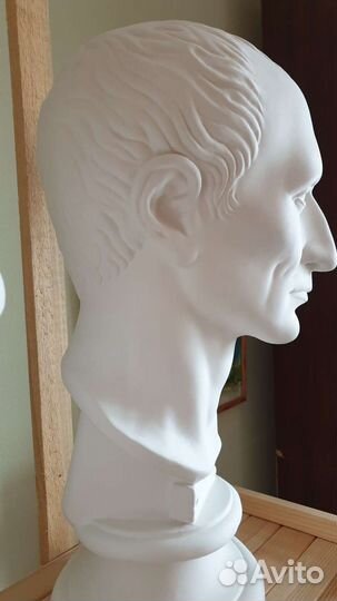 Гипсовая голова