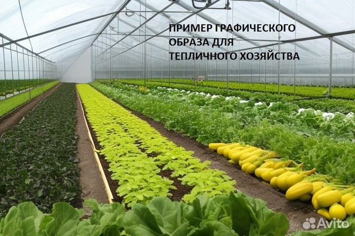 Разработка маркетинговых материалов бесплатно