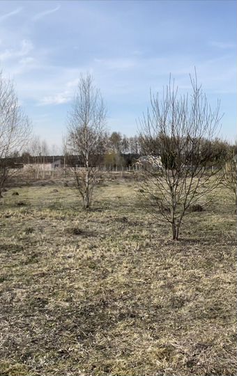 Участок 32 сот. (ИЖС)
