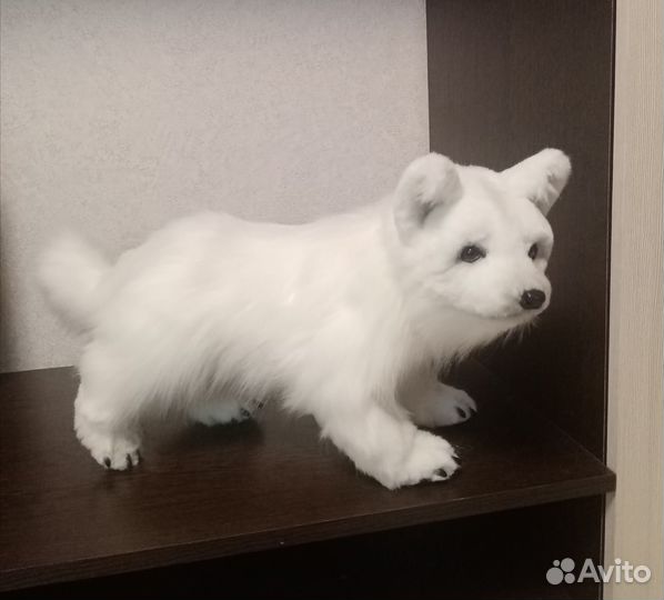 Собака лайка. Мягкая игрушка ручной работы