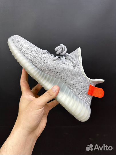 Adidas Yeezy boost 350 v2 tail light