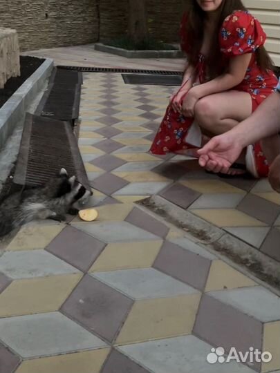 Летнее платье размер S