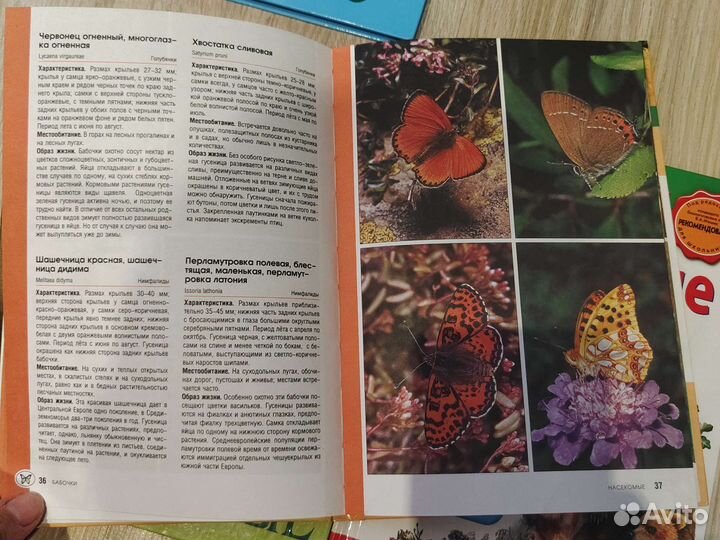 Серия книг Удивительный мир природы