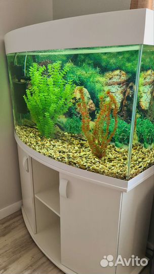 Аквариум с тумбой 250л