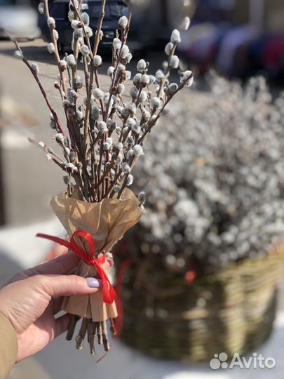 Вербный букет