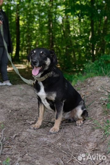 Мафальда, стерилизована