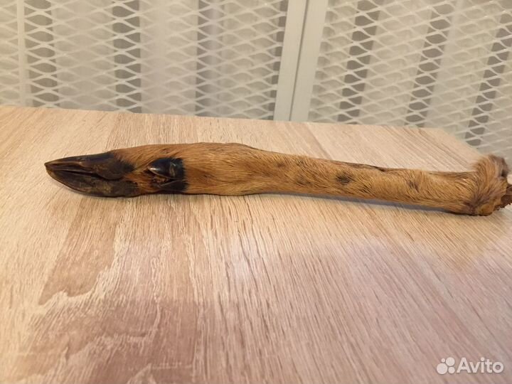 Козья ножка