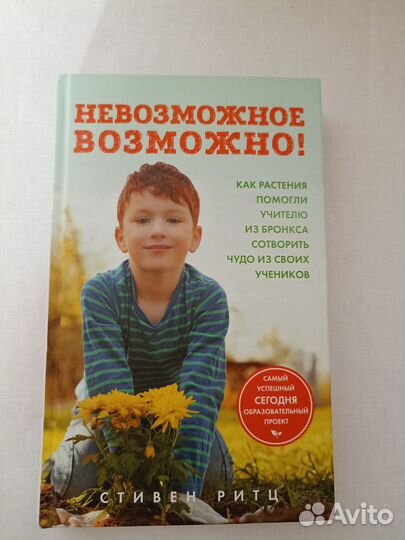 Книга Стивен Ритц Невозможное возможно