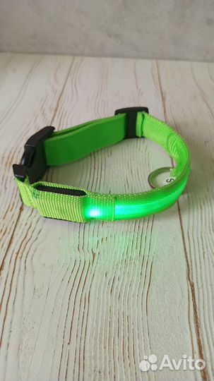 Ошейник для собаки светящийся