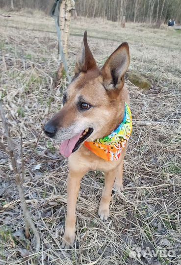 Добро в дом, это Я