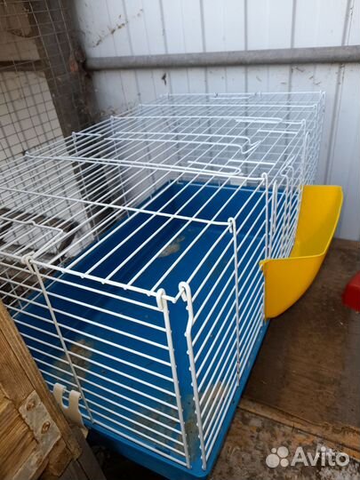 Клетка для декоративного кролика