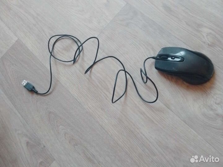 Компьютерная мышь