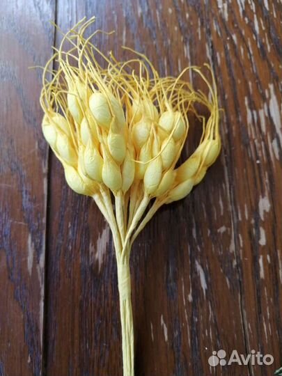 Тычинки в сахаре